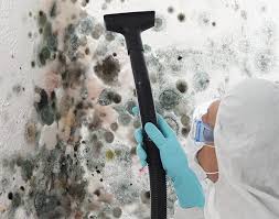 Mold Remediation for Vacation Homes in Blytheville, AR